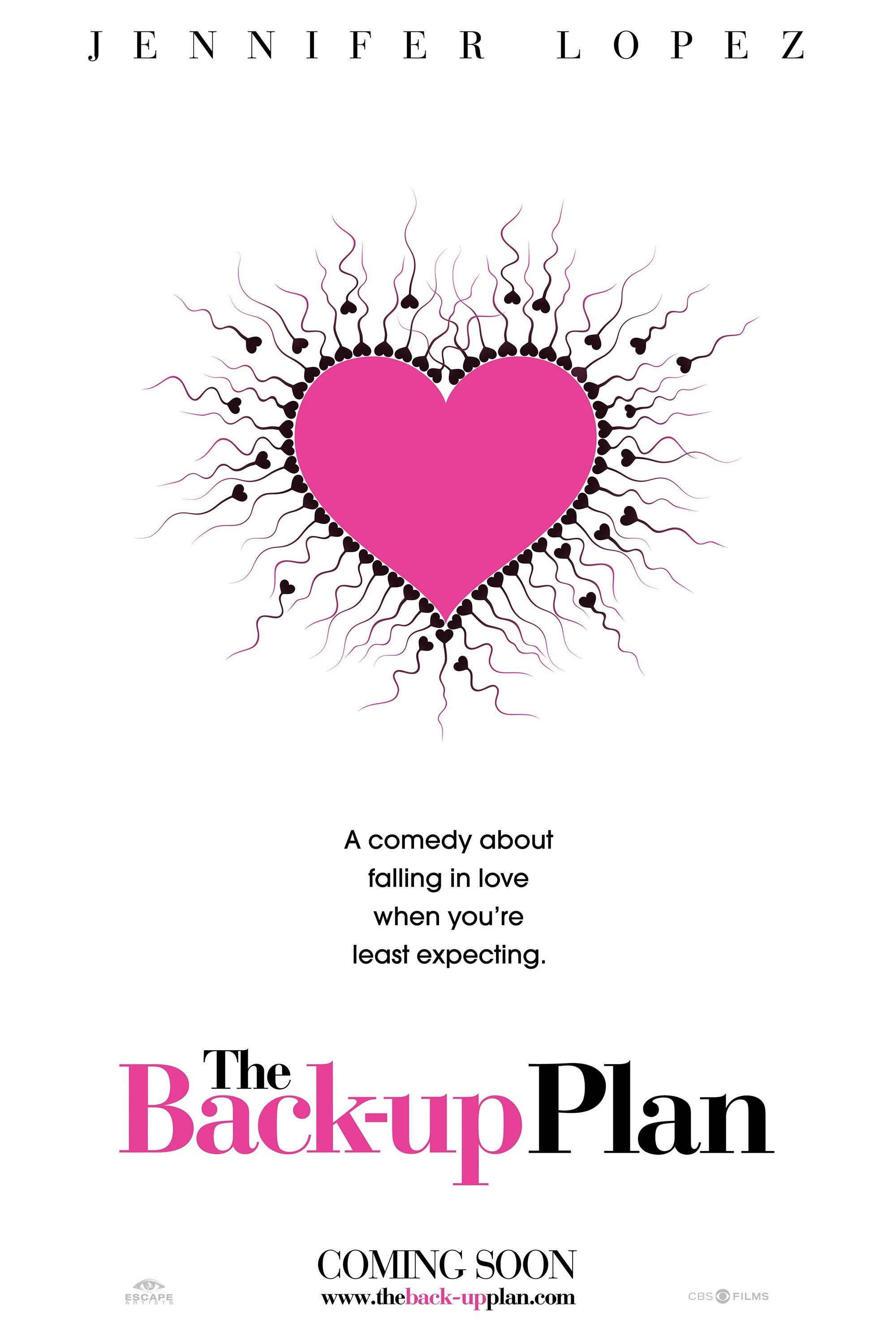 The Back-Up Plan