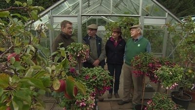 The Beechgrove Garden - Épisode 26