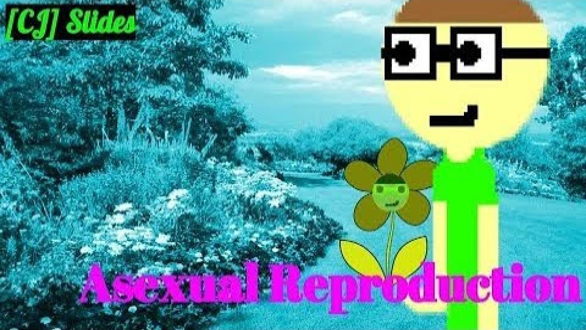 Thumbnail for Asexual Reproduction Season 1 Episode 5
