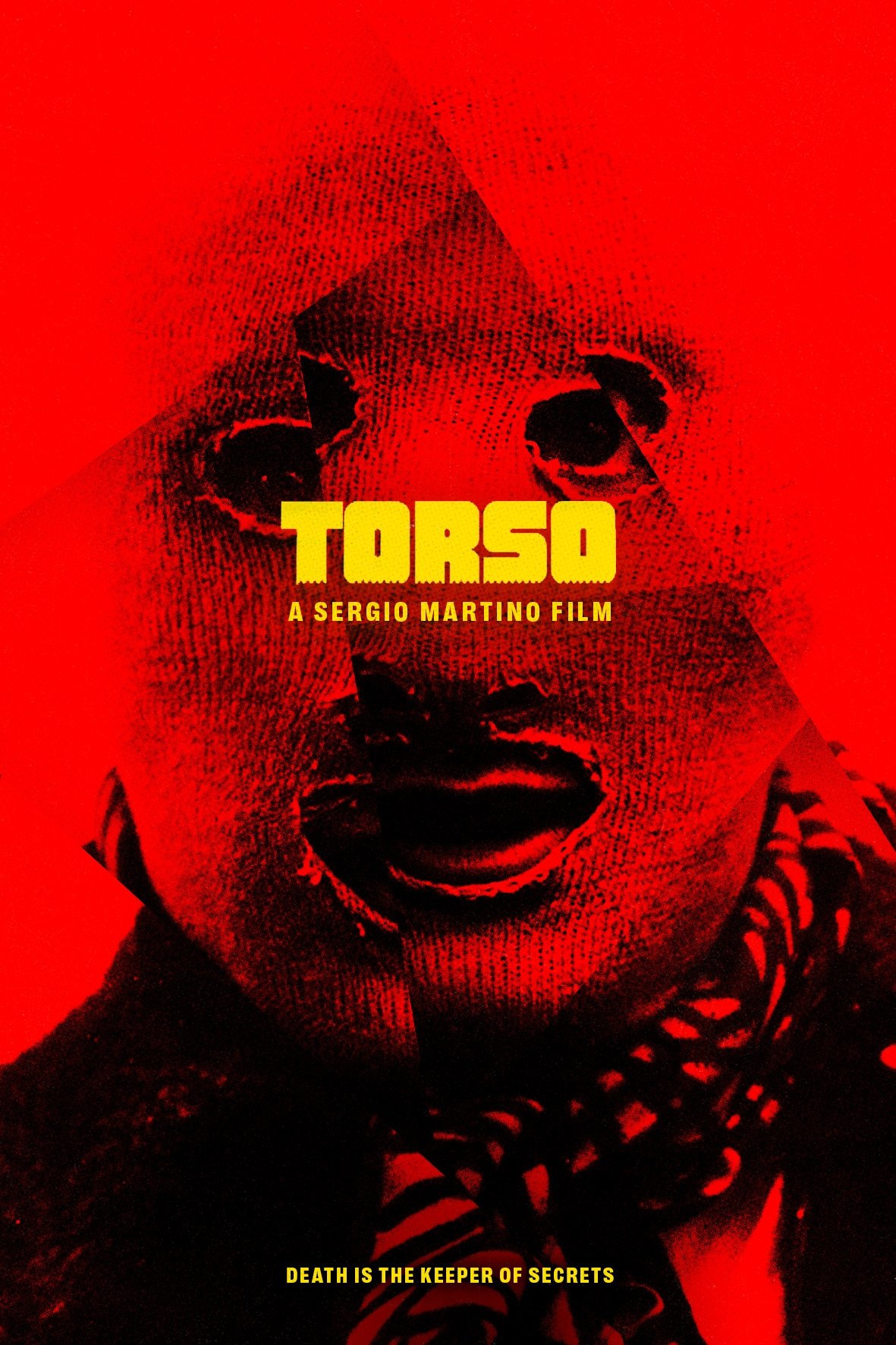 Torso