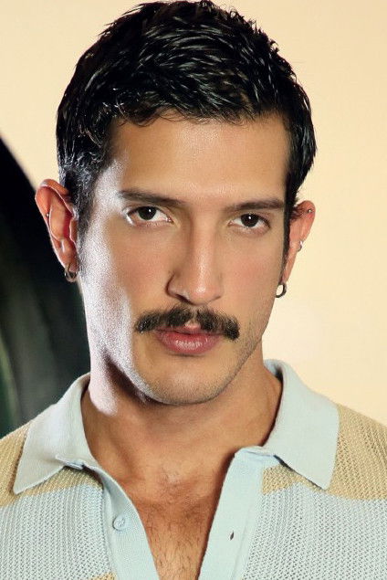 et billede af Sir Armas