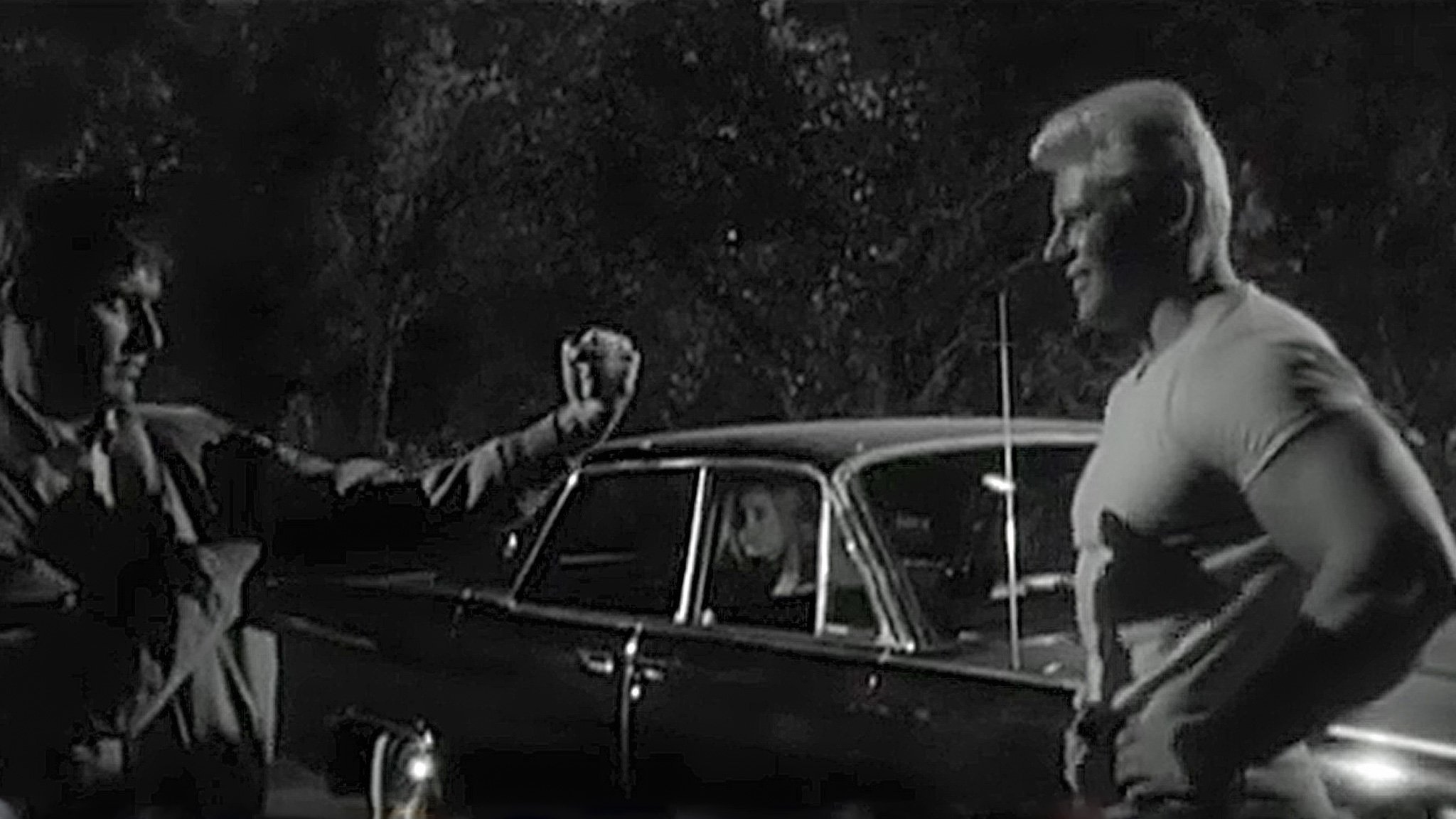 Lord Love a Duck (1966)