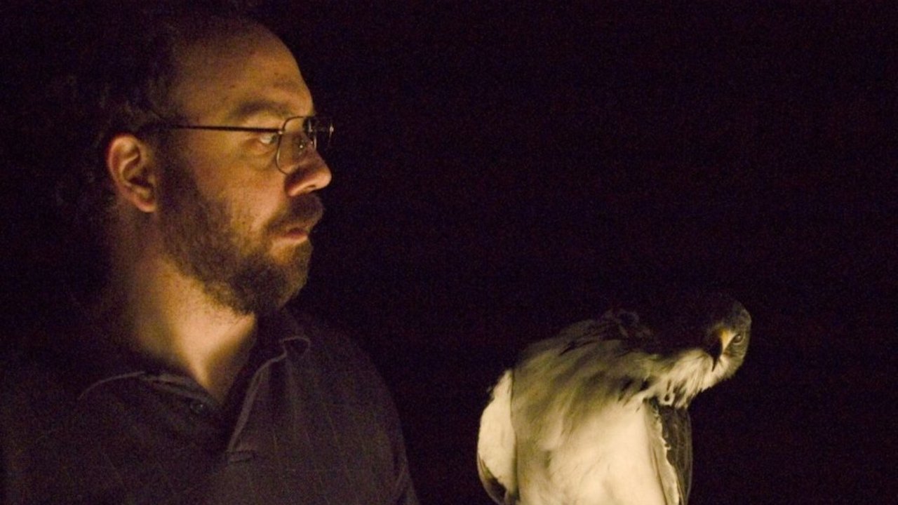 The Hawk Is Dying (2007)