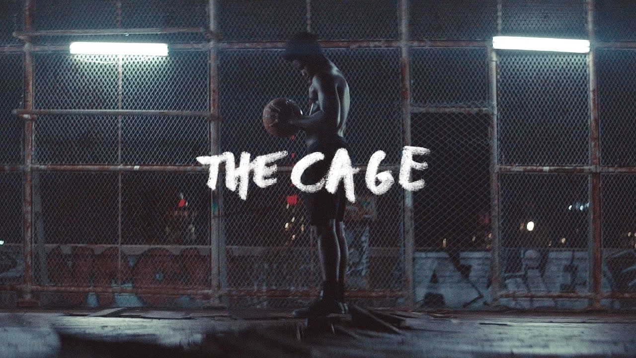 The Cage (2017)