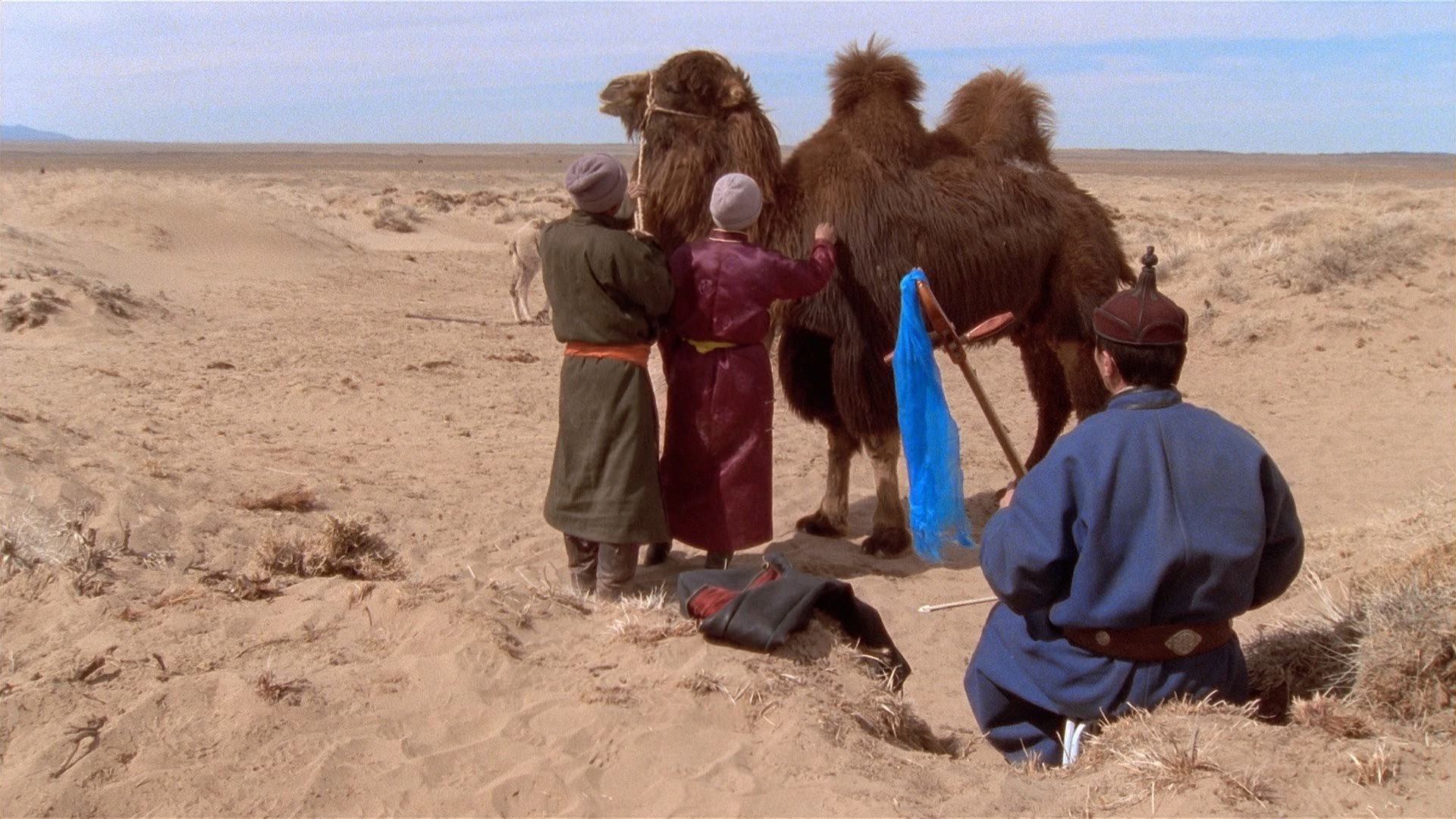 The Story of the Weeping Camel