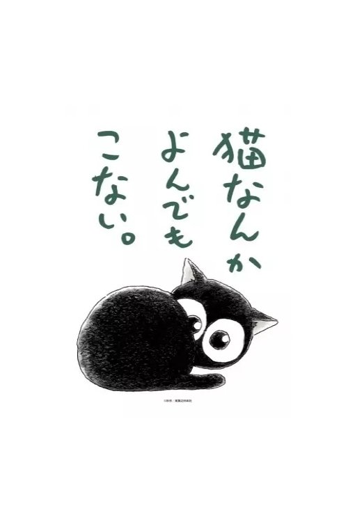 Neko nanka Yondemo Konai. Neko nanka Yondemo Konai.