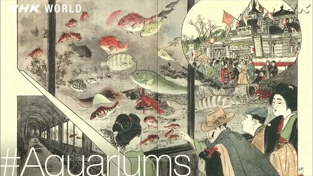 Thumbnail for A Brief History [#Aquariums] Season 0 Episode 25
