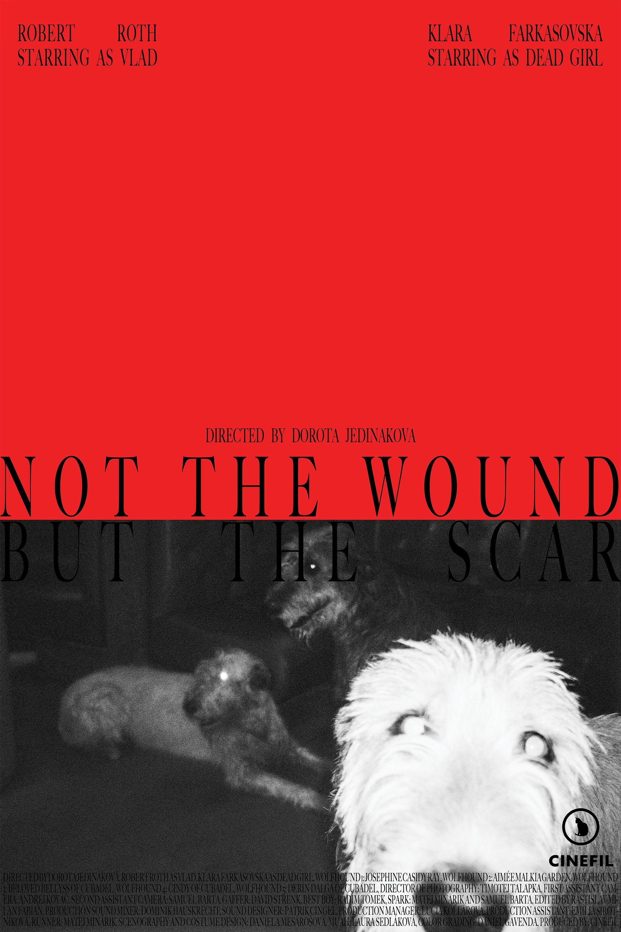 Not the Wound but the Scar Not the Wound but the Scar