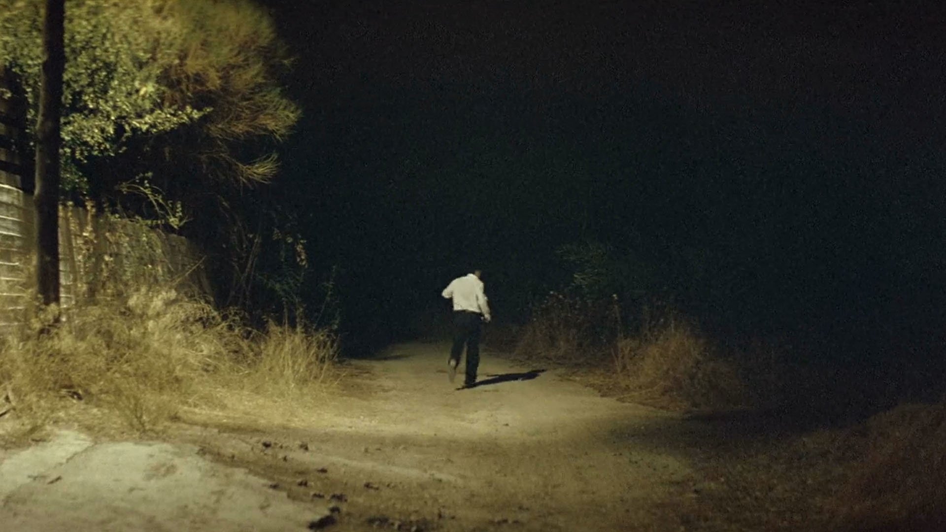 Dogtooth