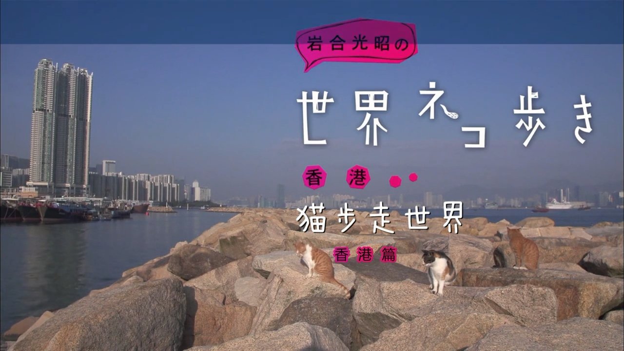 Episode 48