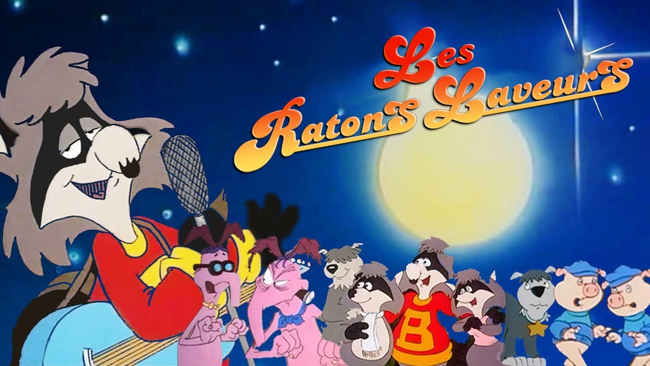 The Raccoons