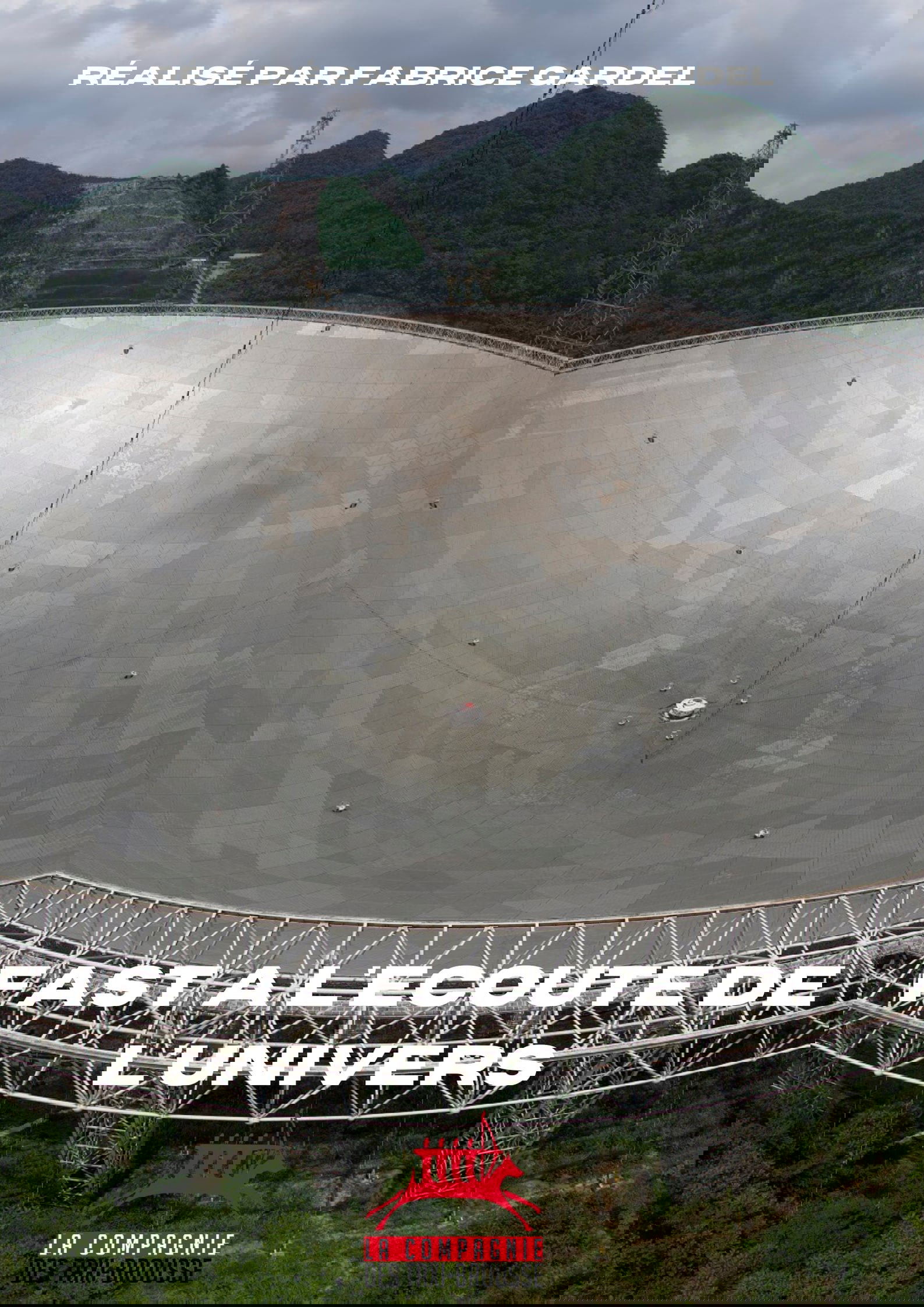 FAST, à l'écoute de l'univers