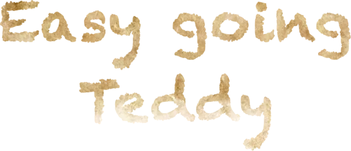 Easygoing Teddy