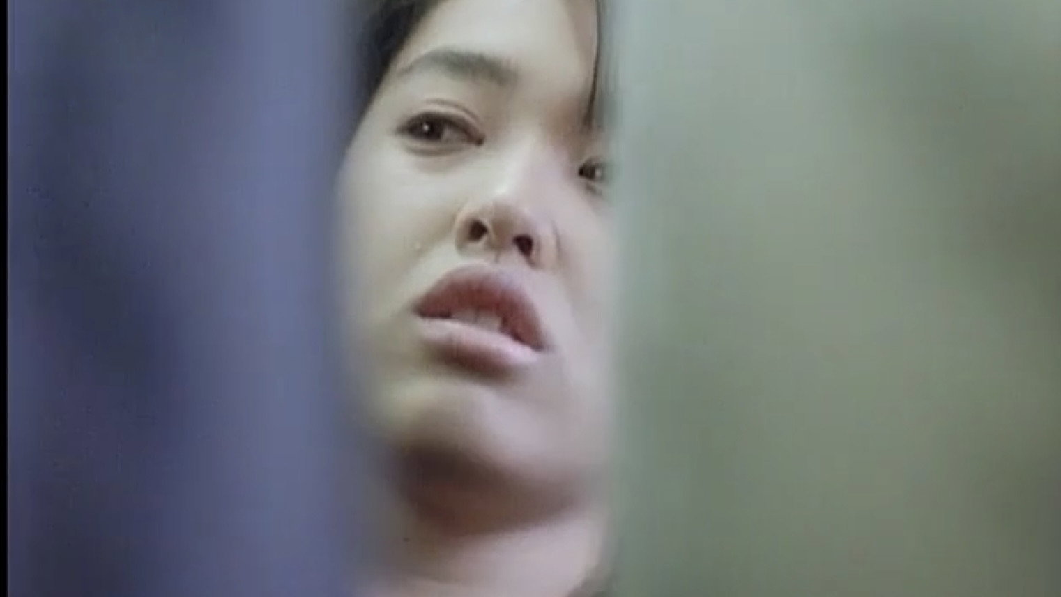 Chikan Densha: Abunai Futomomo