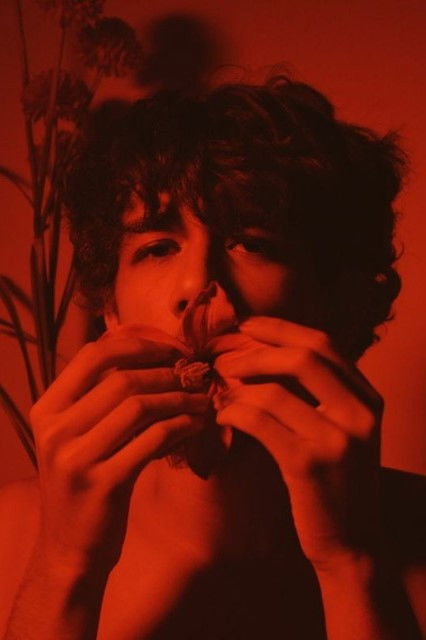 et billede af Gabriel Viggo