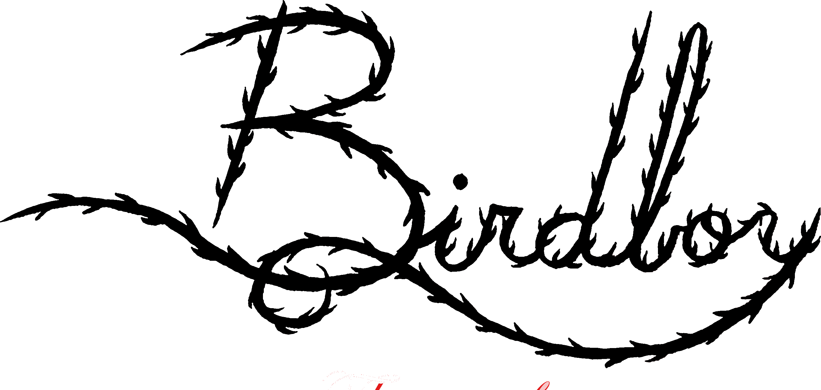Birdboy Logo