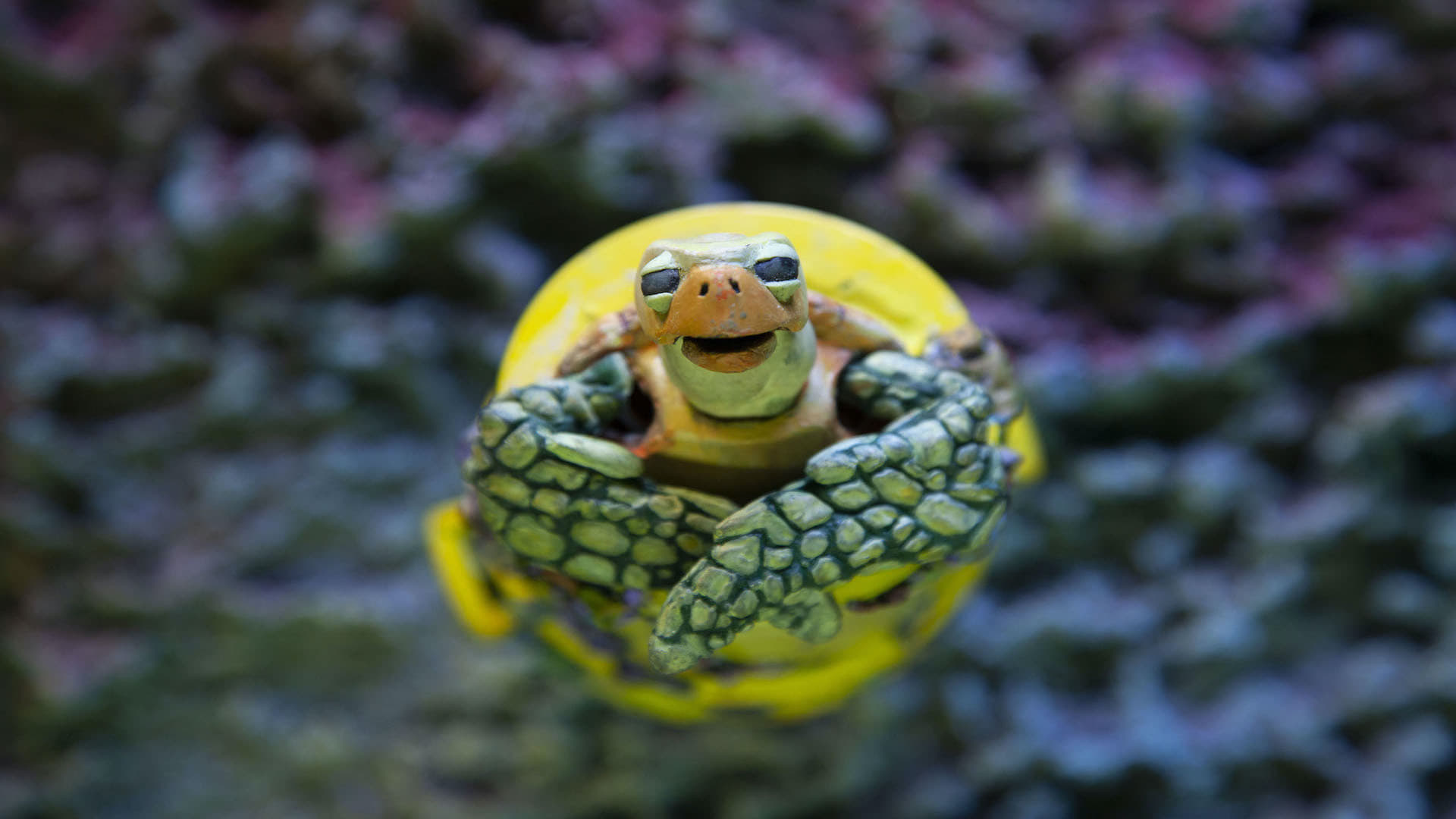 The Plastic Turtle