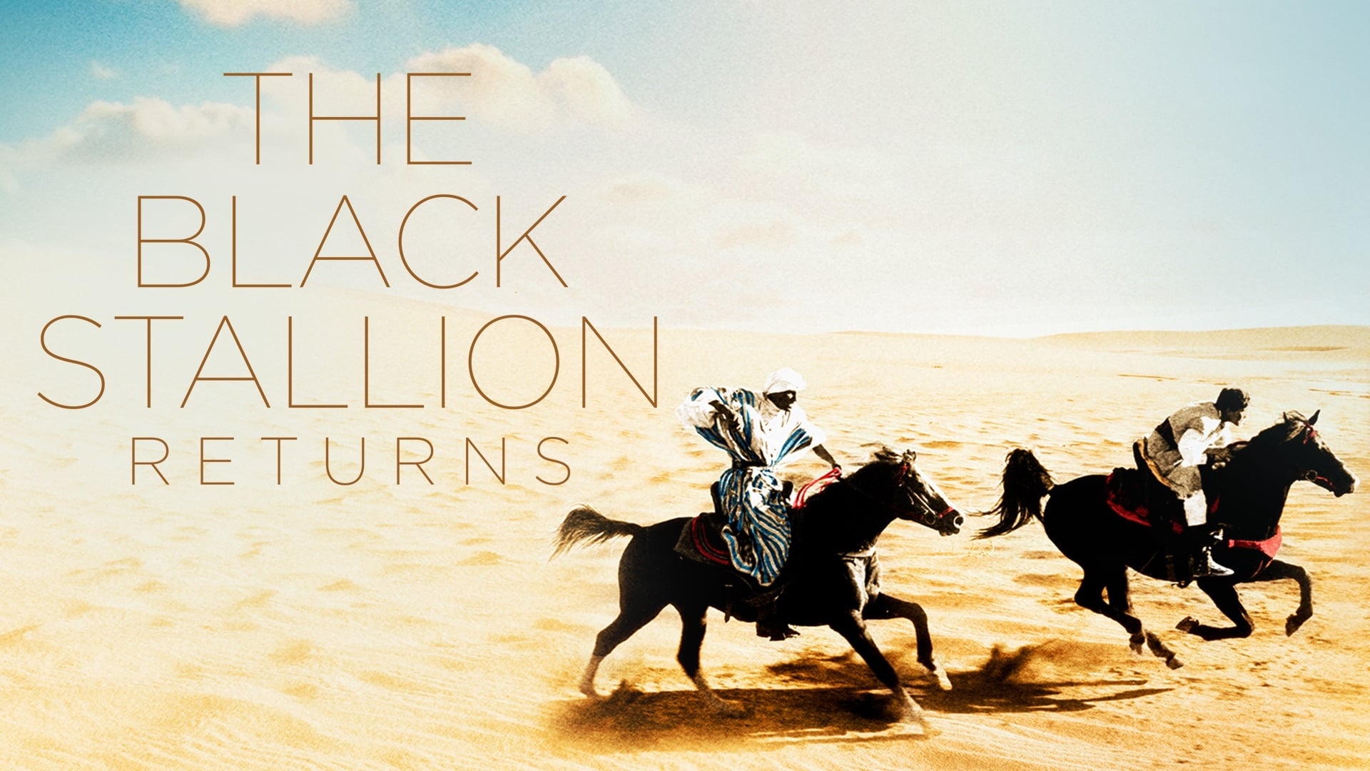 The Black Stallion Returns