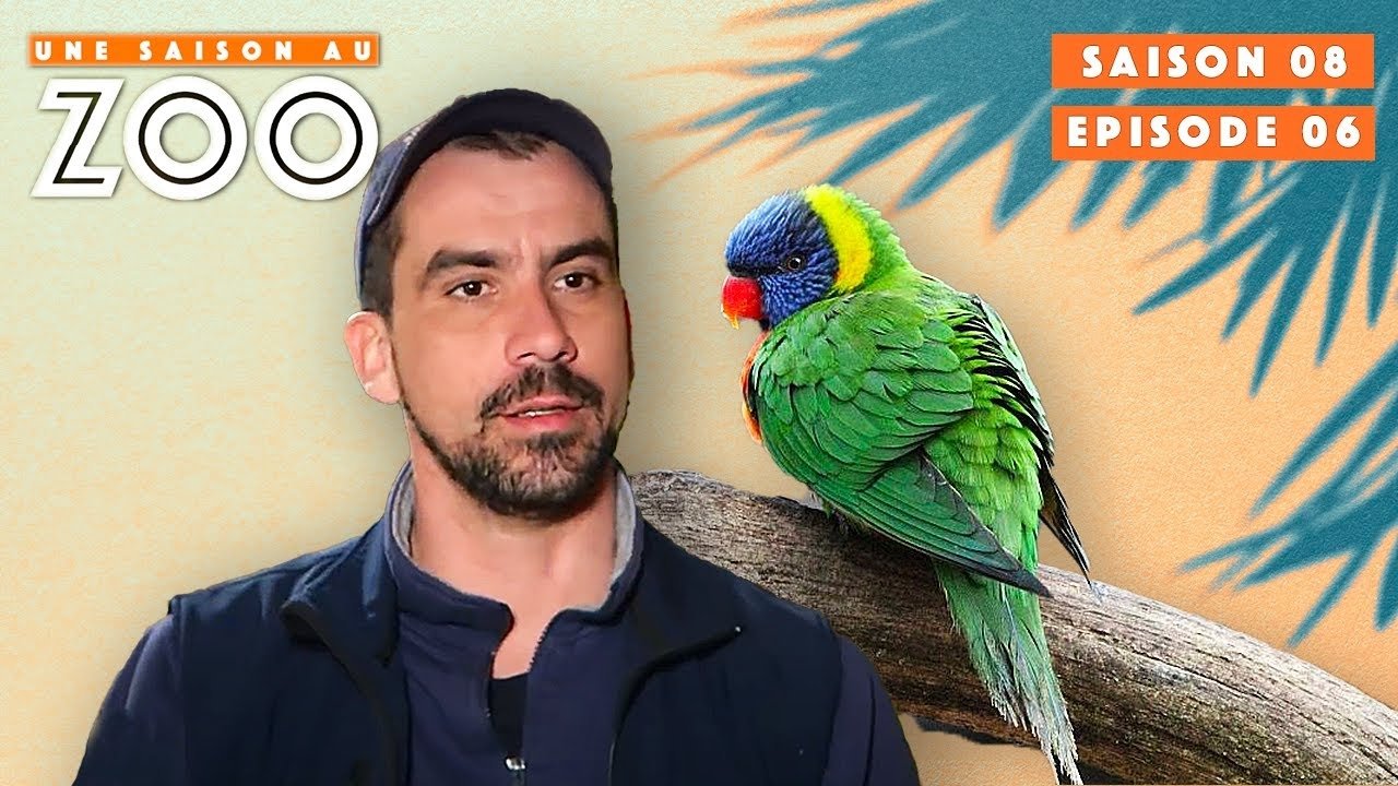 Une saison au zoo