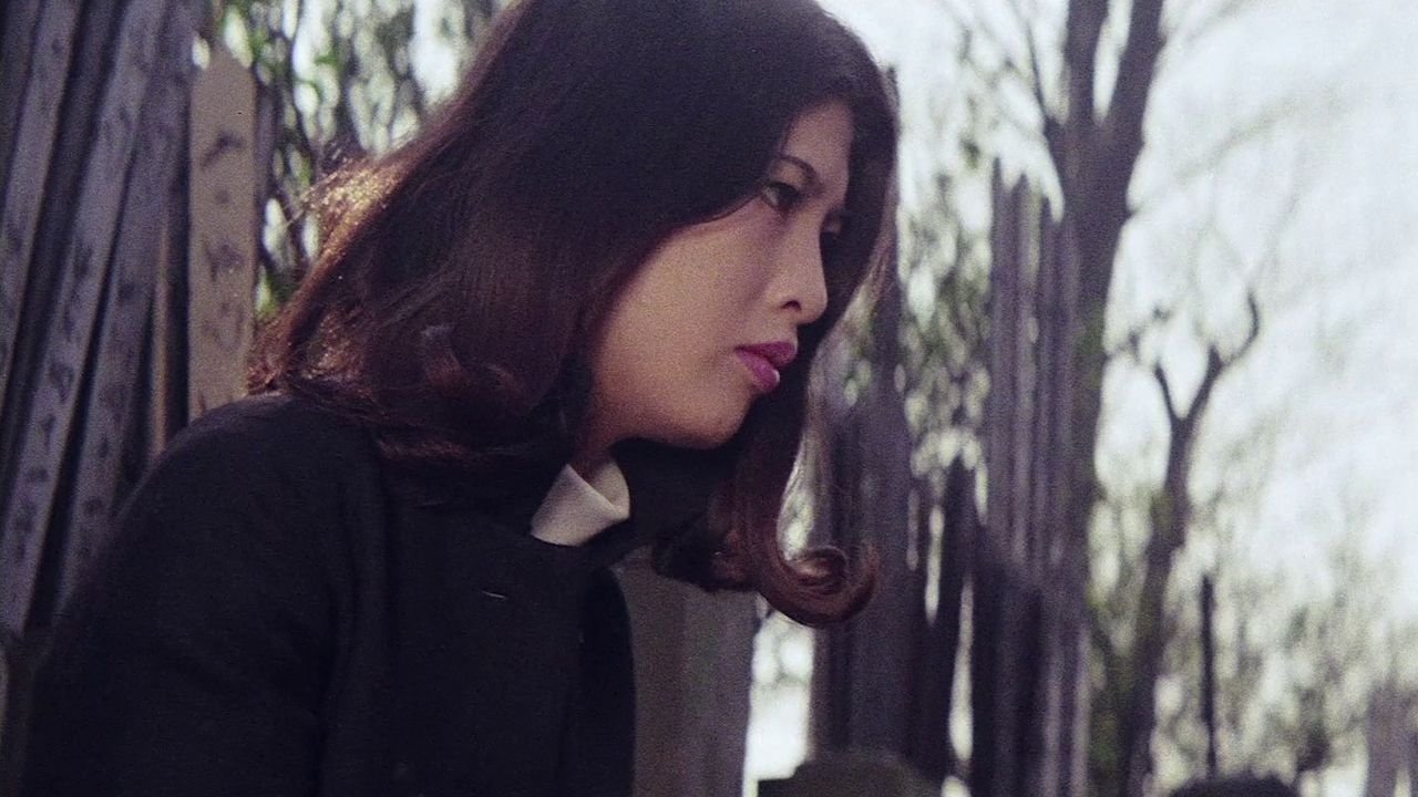Blue Film Woman (1969)