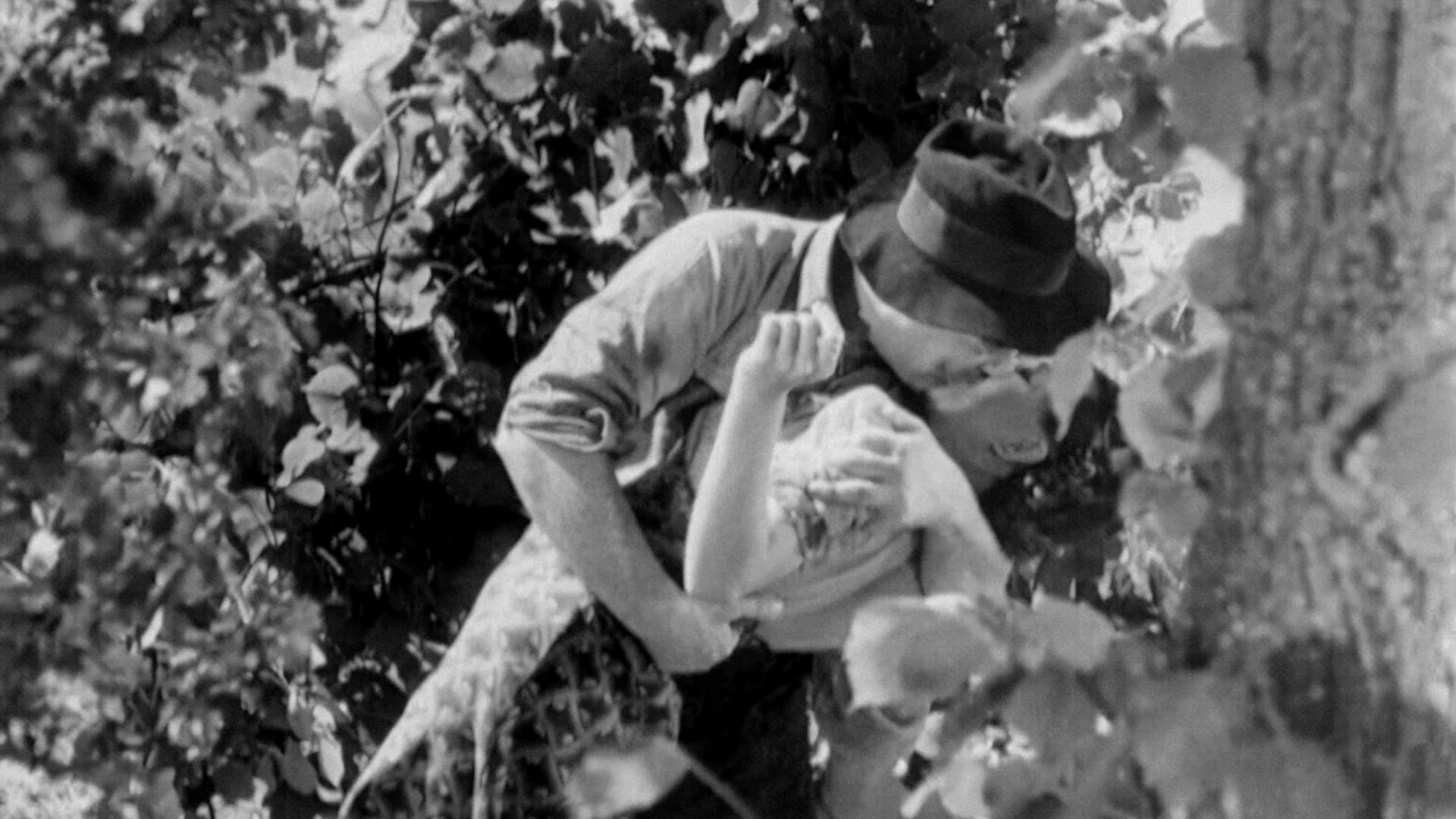 João Ratão (1940)