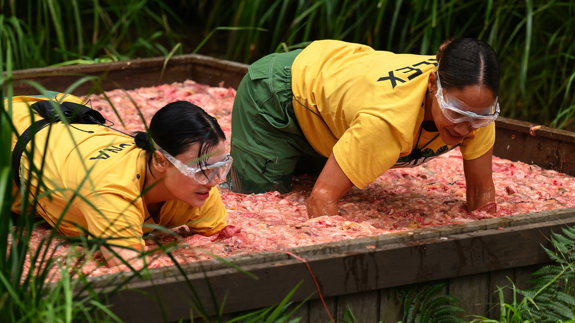 I'm a Celebrity...Get Me Out of Here! Staffel 25 :Folge 7 