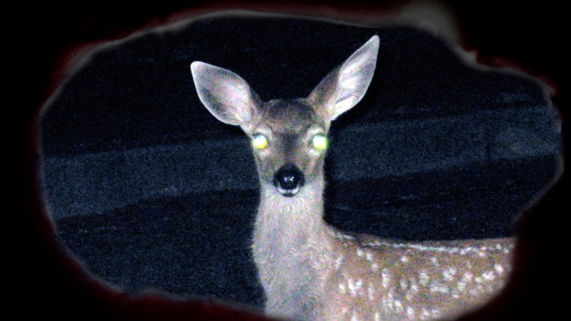 You & Eye (2020)