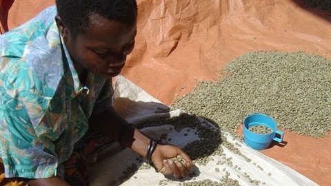 Thumbnail for Episode 5 Season 1 Episode 5