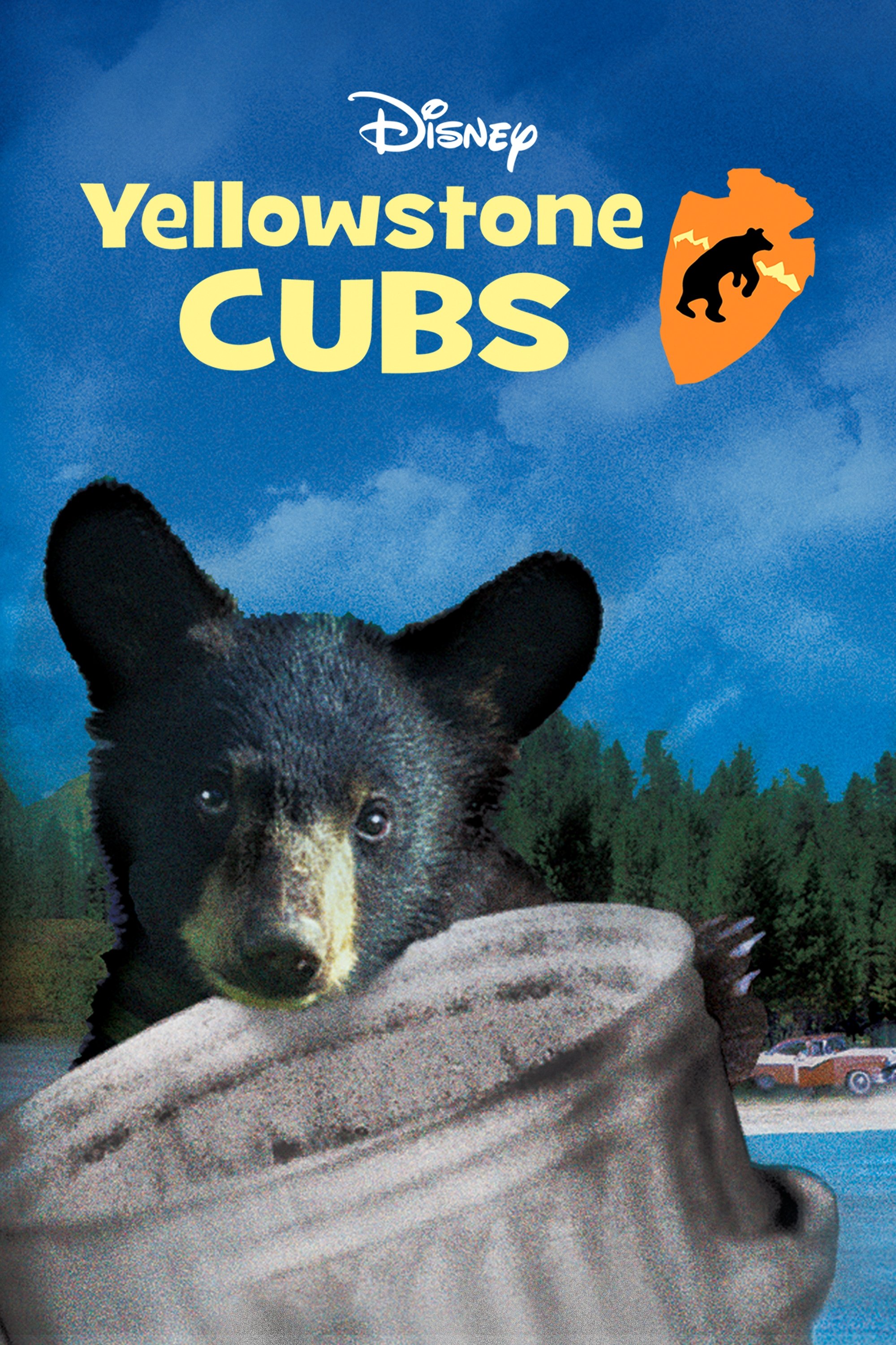 Yellowstone Cubs
