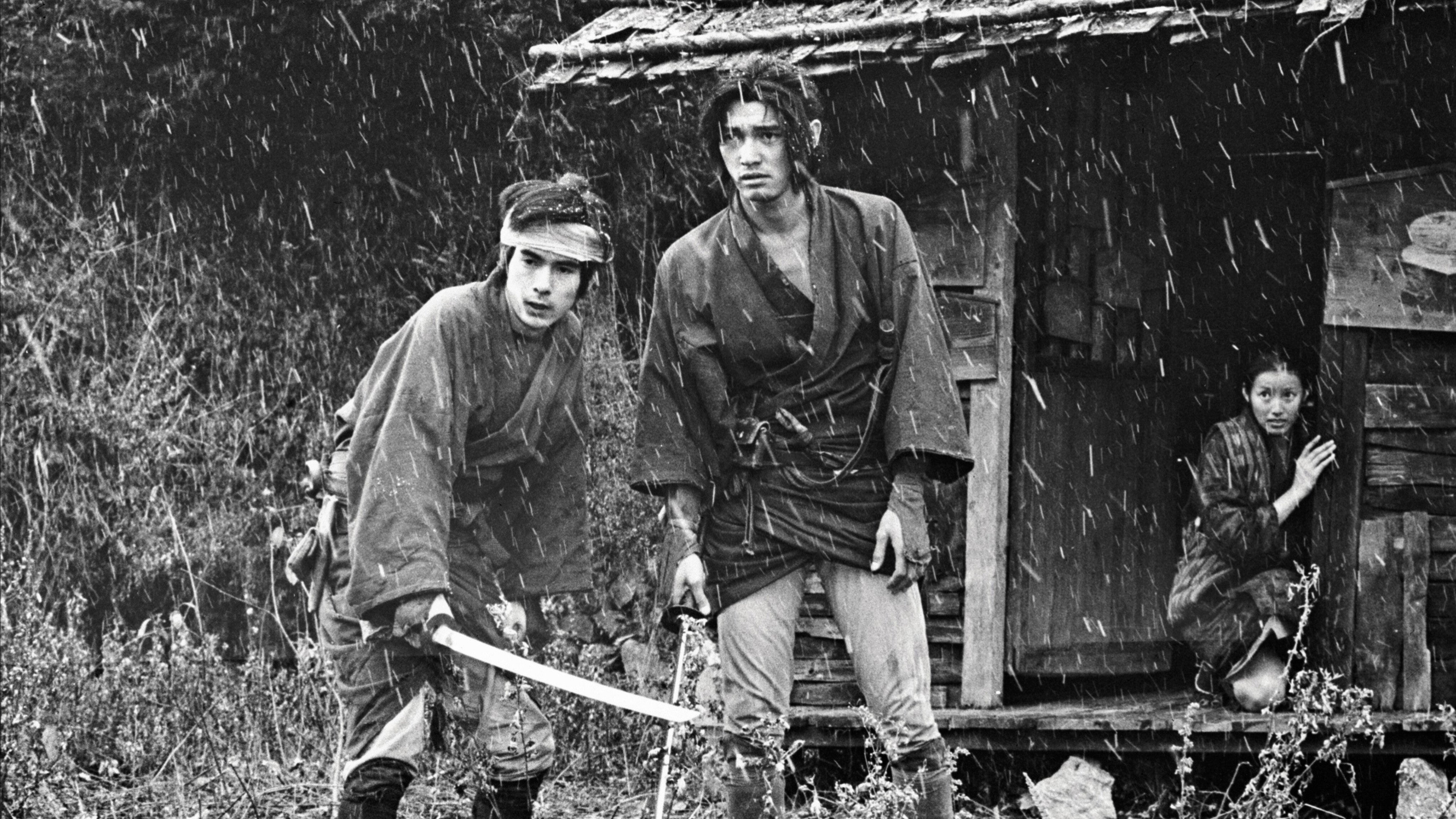 The Wanderers (1973) — still 2