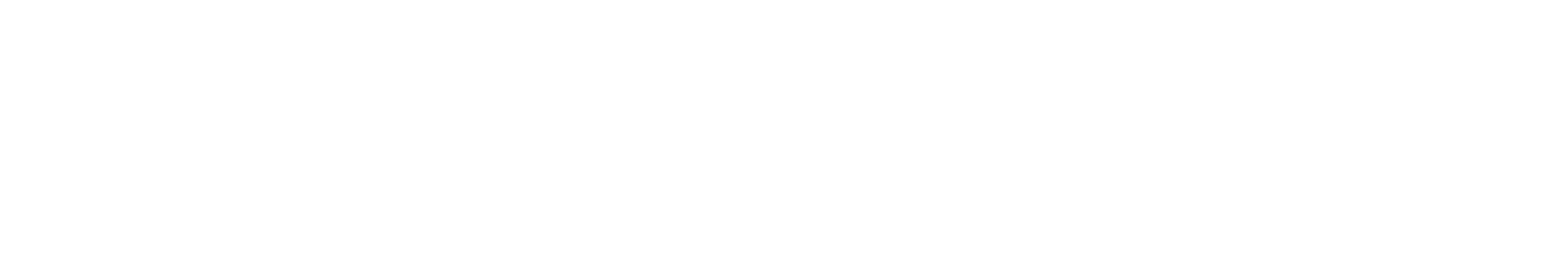Paramedics Logo