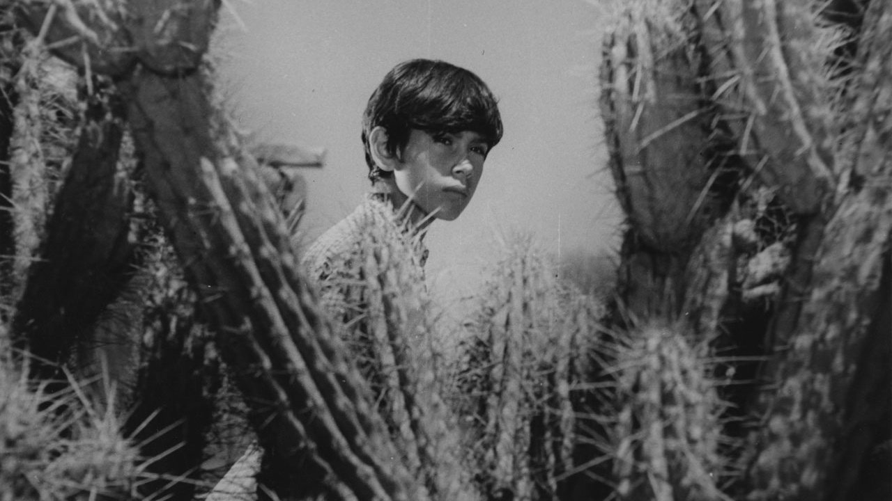 Shunko (1960)