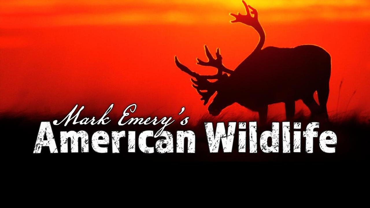 Mark Emery's American Wildlife poster