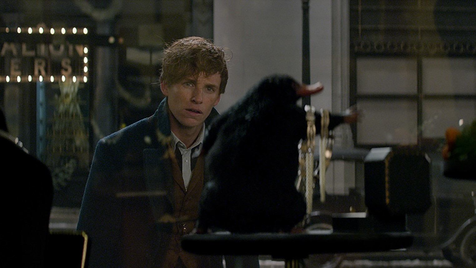 Fantastic Beasts and Where to Find Them