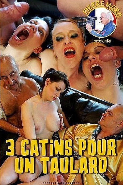 3 Catins pour un Taulard movie poster - movieMx 3 Catins pour un Taulard (2016) movie poster