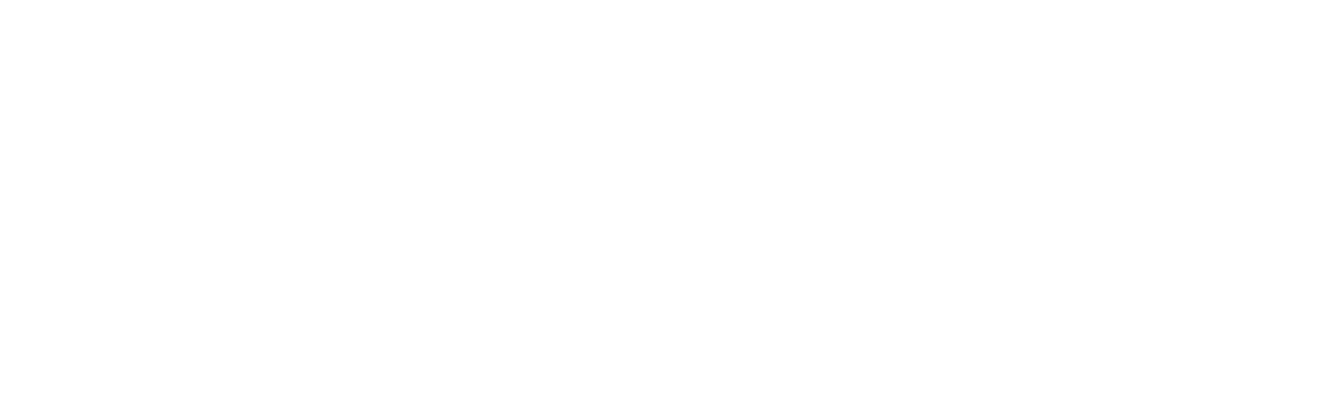 Big Trouble Logo