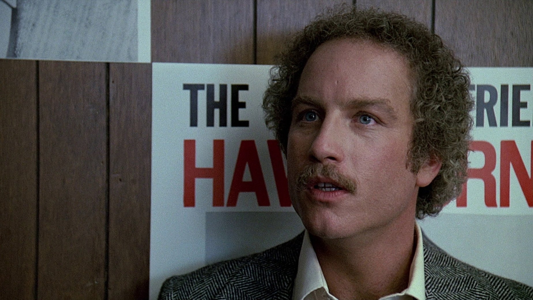 The Big Fix (1978)