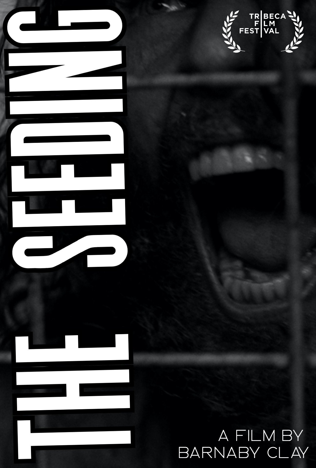 The Seeding