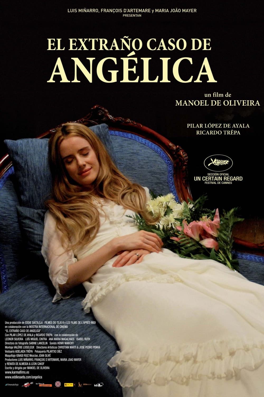 Affiche du film L'étrange Affaire Angelica 11896