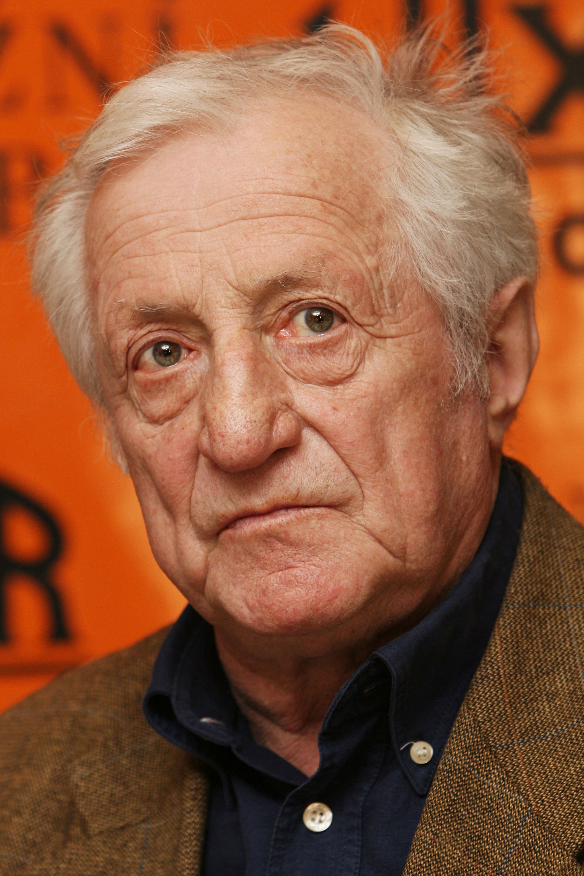 et billede af Pavel Bobek