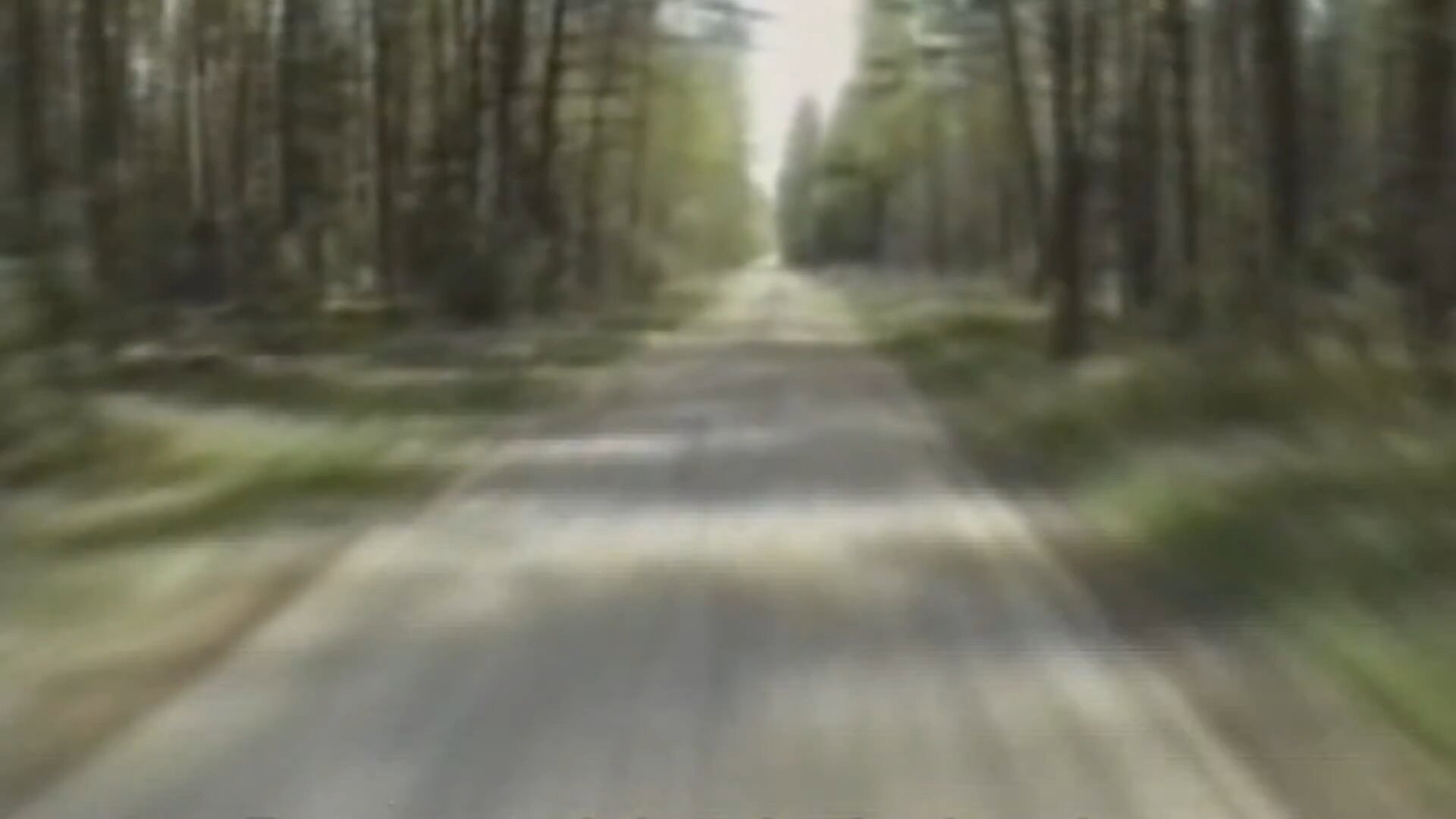 A Very Polish Secret