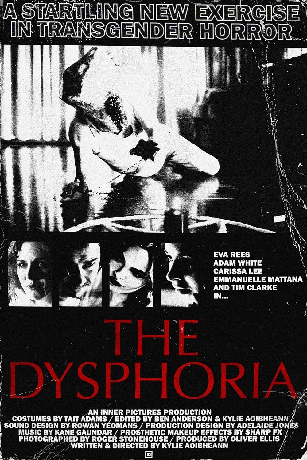 The Dysphoria The Dysphoria