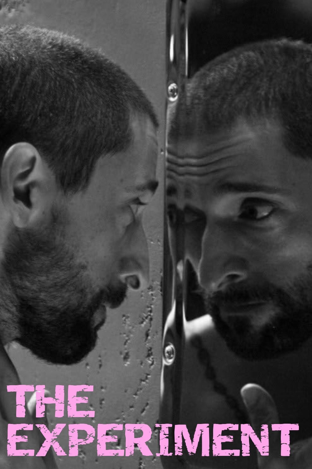 The Experiment