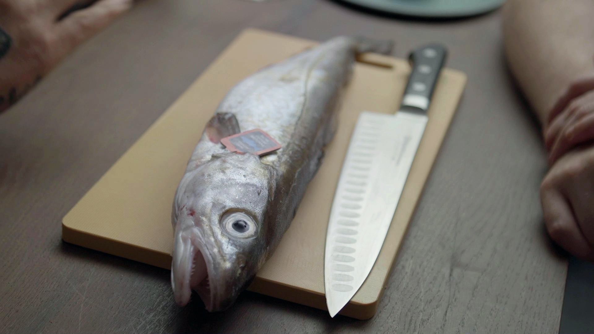 The Mind of a Chef