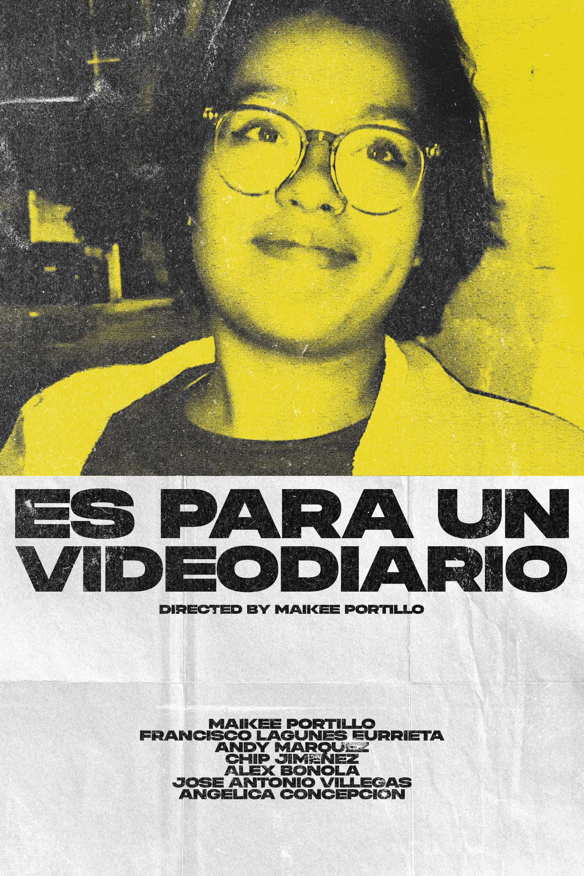 Es Para Un Videodiario