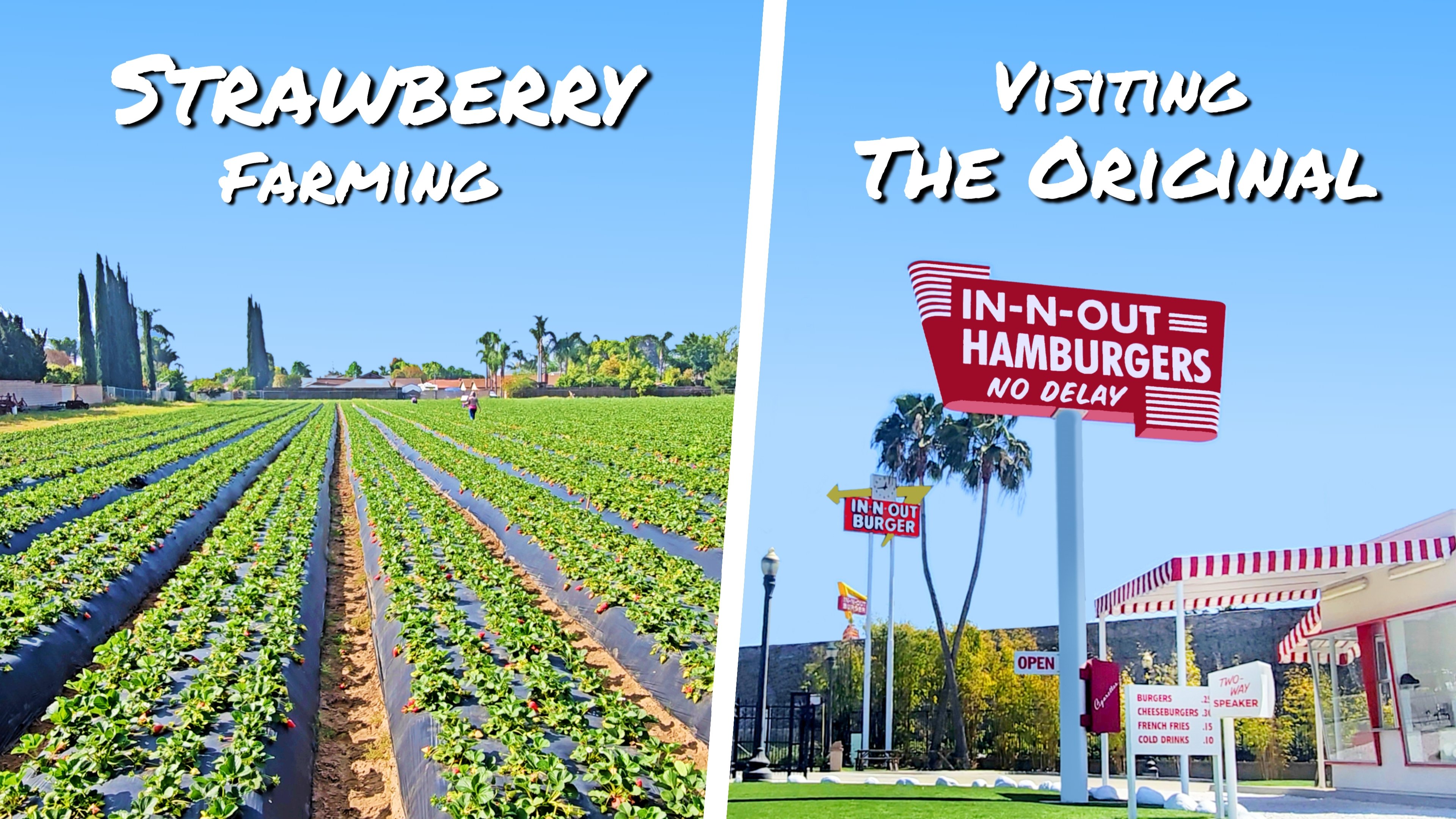 Thumbnail for Strawberry Farming and The First In-N-Out Season 1 Episode 10
