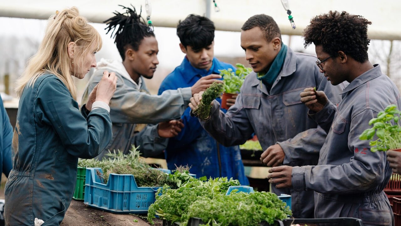 Kitchen Brigade (2022)