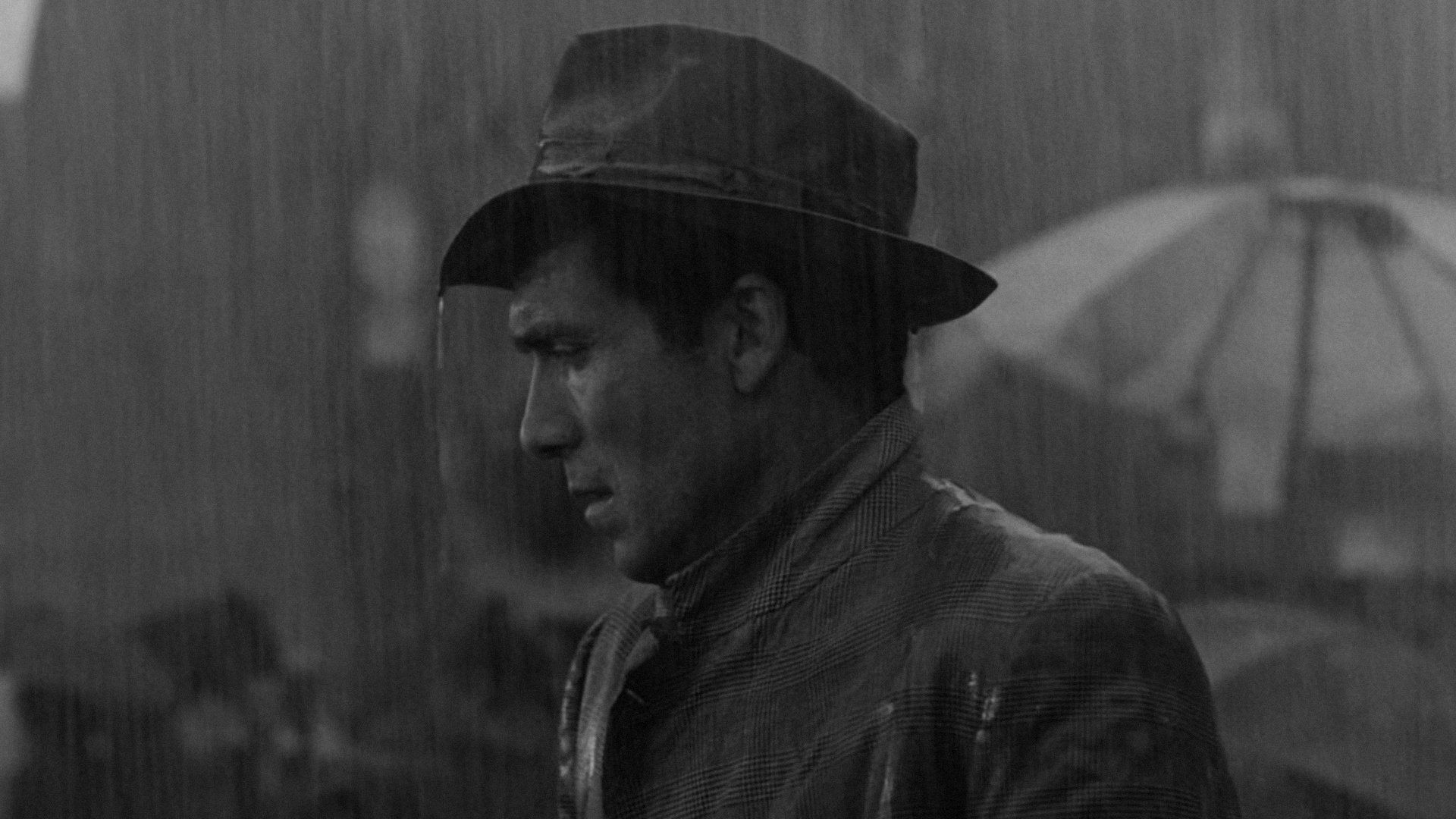 Bicycle Thieves