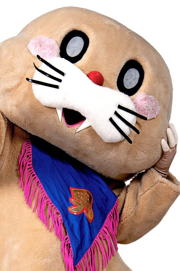 et billede af Pokotan