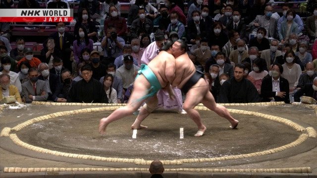 GRAND SUMO Highlights Season 11 :Episode 2  Day 2